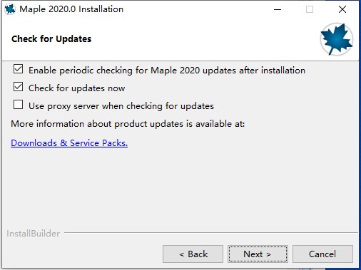 Maple 2020截图