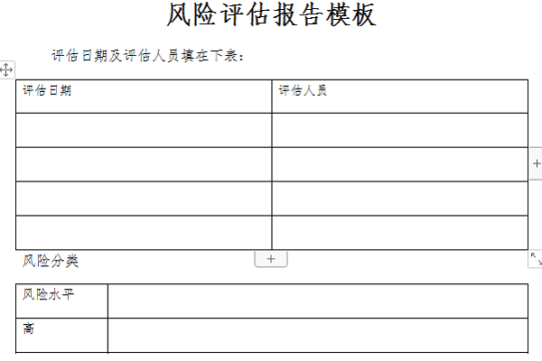 风险评估报告模板截图