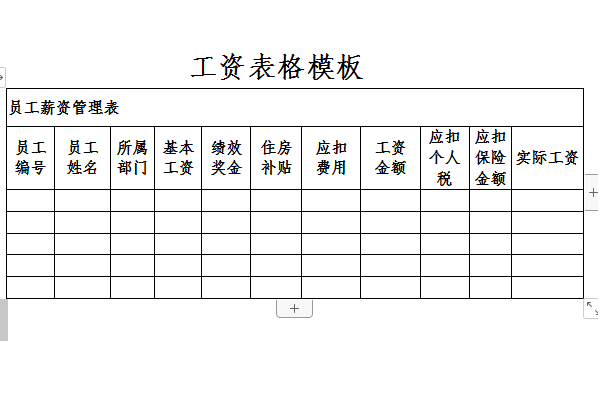 员工工资条模板截图