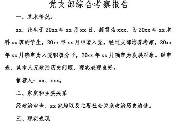 党支部综合考察报告截图