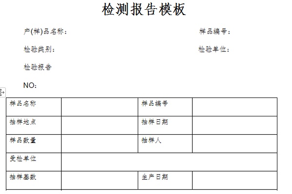 检测报告模板截图