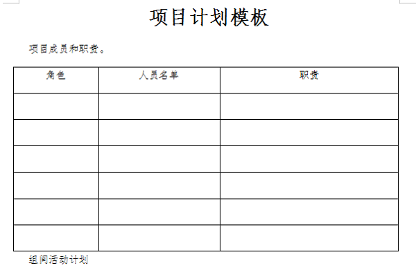 项目计划模板截图