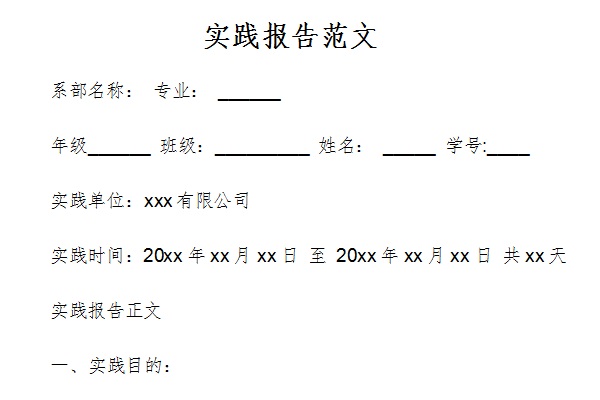 实践报告范文截图