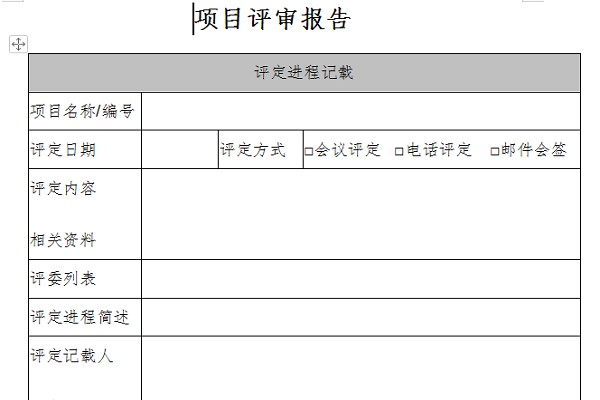 项目评审报告截图