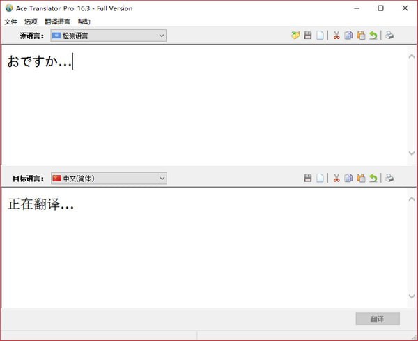 Ace Translator Pro截图