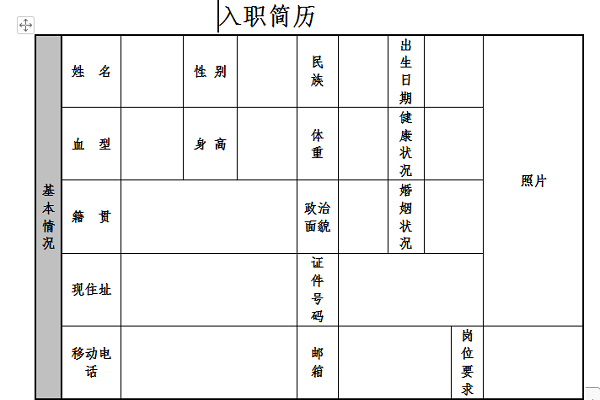 员工入职简历表格截图