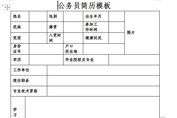 公务员简历模板截图