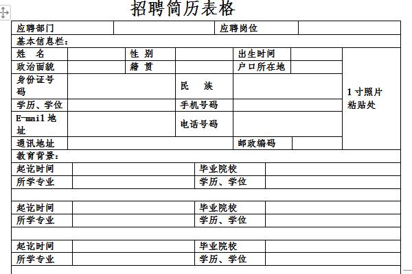 招聘简历表格截图