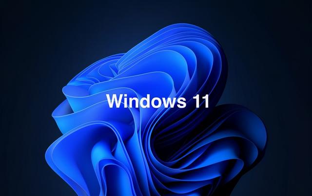 Windows11 22000.65适度精简版截图