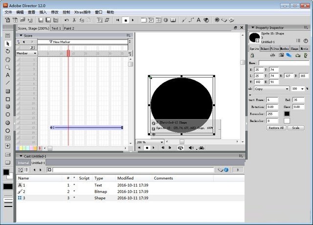 Adobe Director2021截图