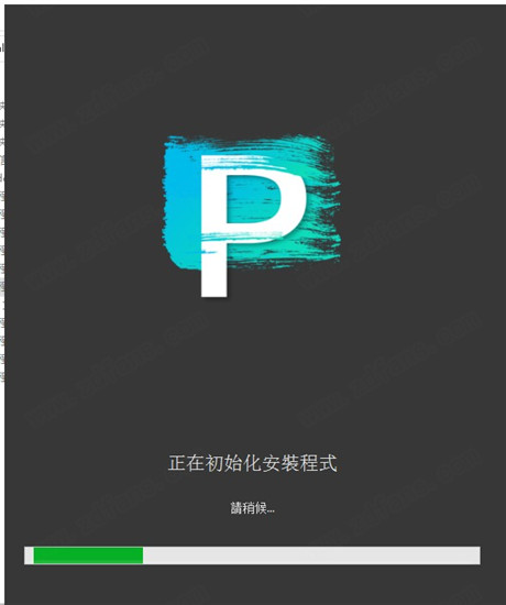 Painter 2021截图