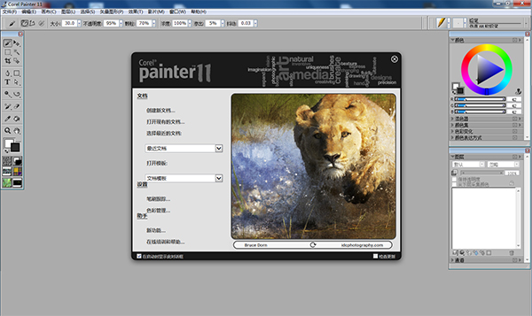 Painter 2021截图