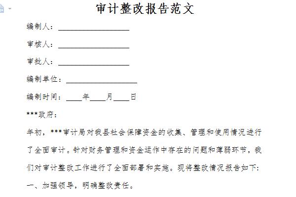 审计整改报告范文截图