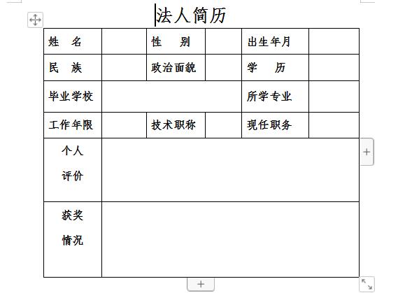 法人简历截图