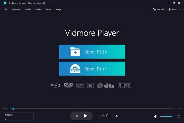 Vidmore Player截图