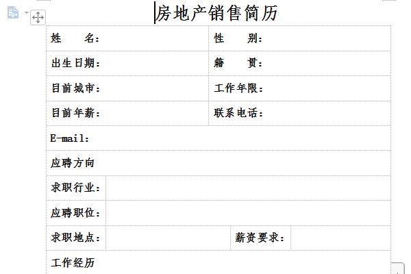 房地产销售简历截图