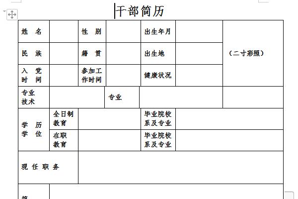 干部个人简历范文截图