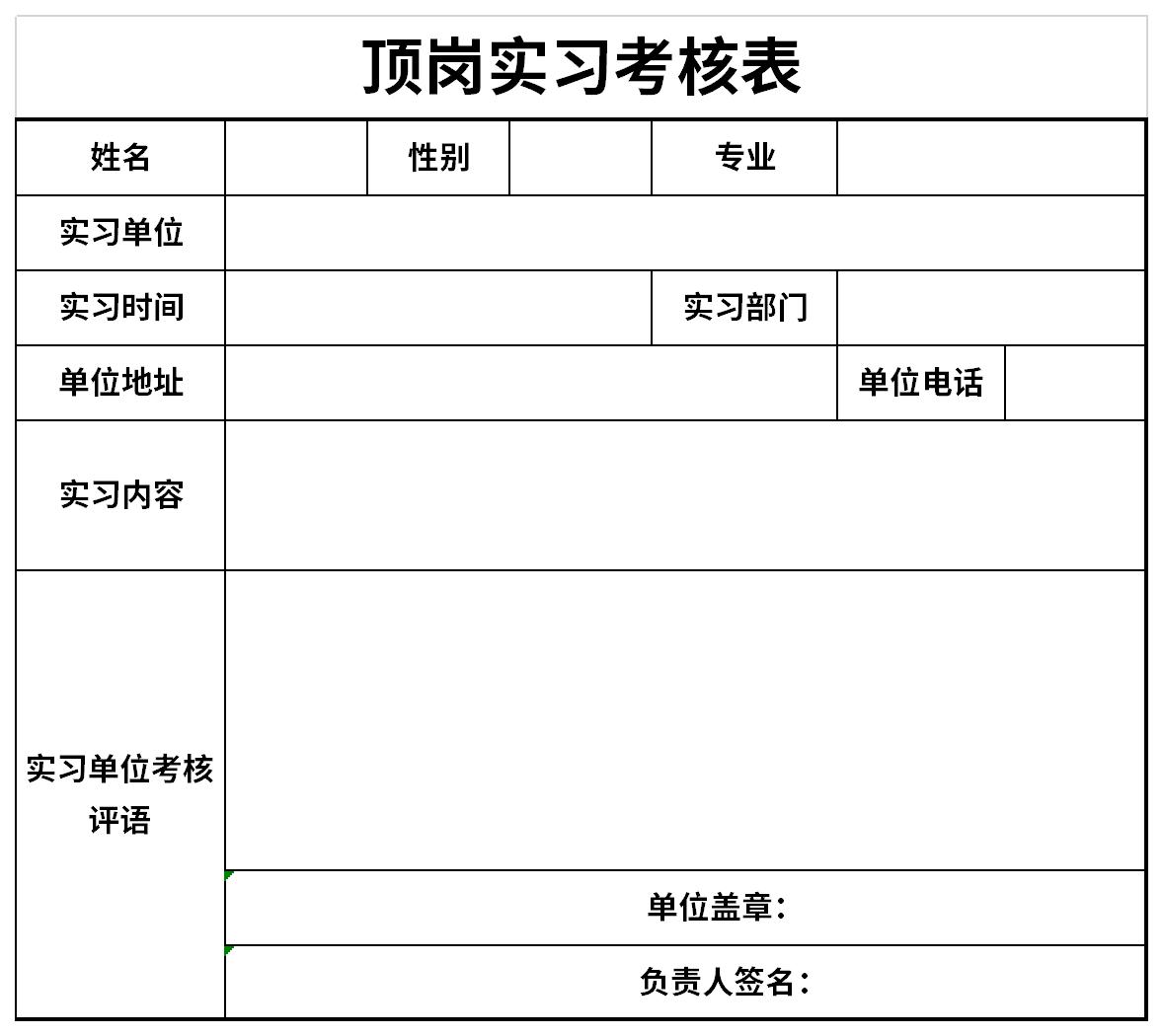 顶岗实习考核表截图