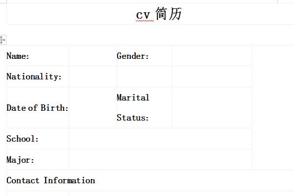 cv简历截图