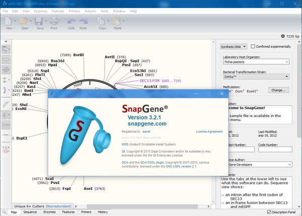 GSL Biotech SnapGene截图