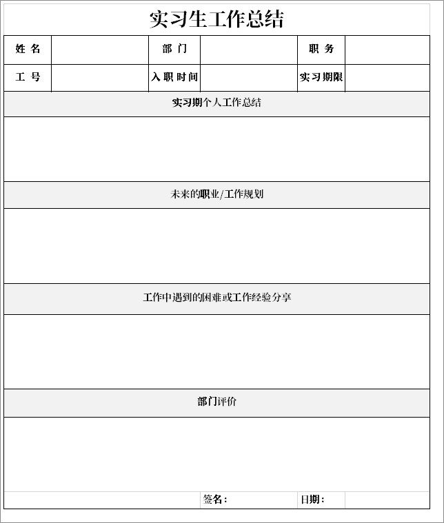 实习生工作总结表截图