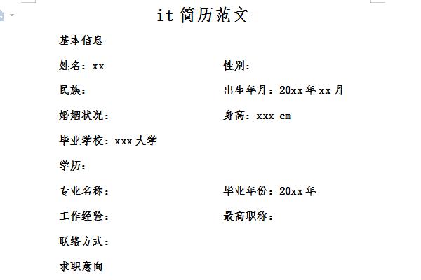 it个人简历模板范文截图