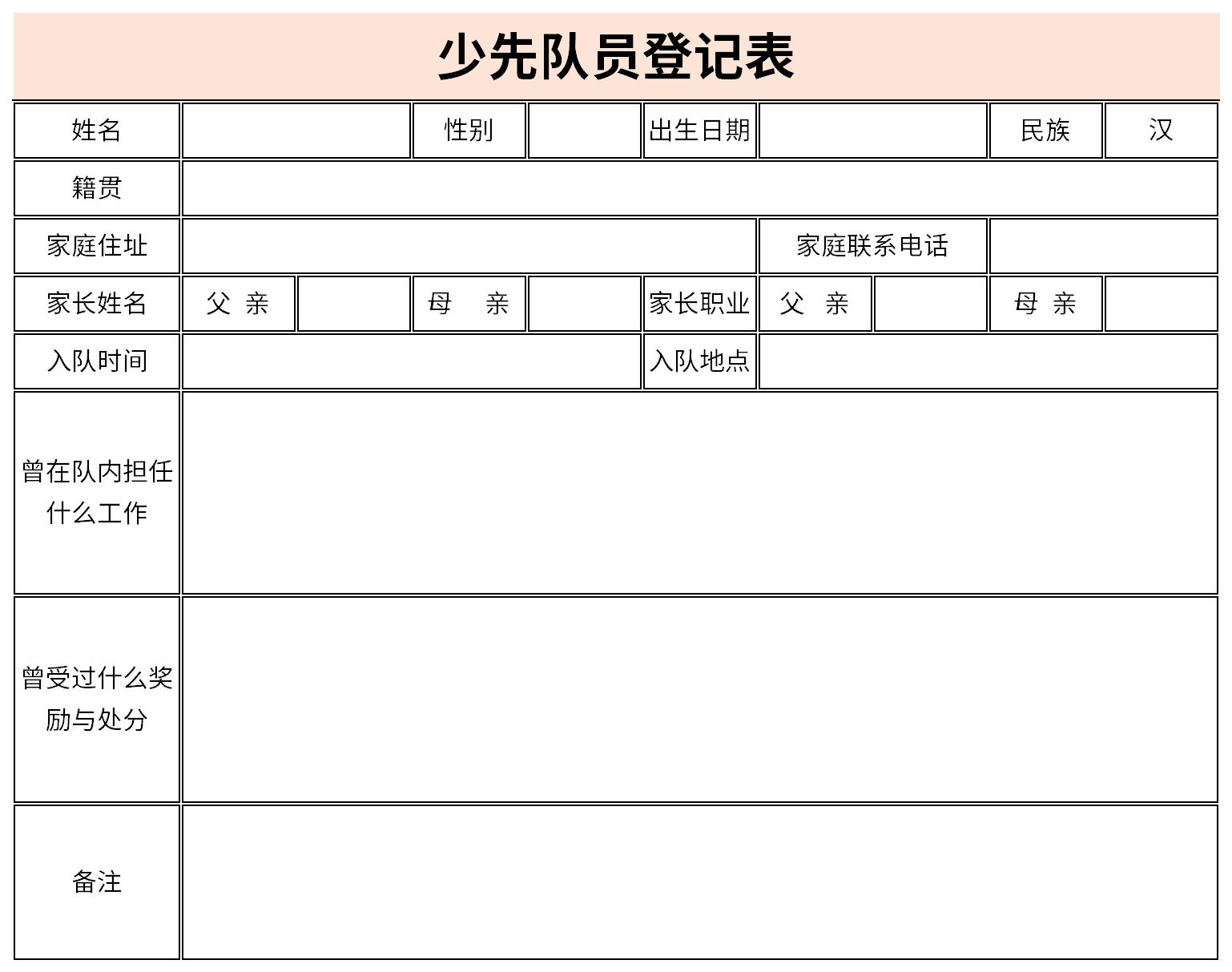 少先队员登记表截图