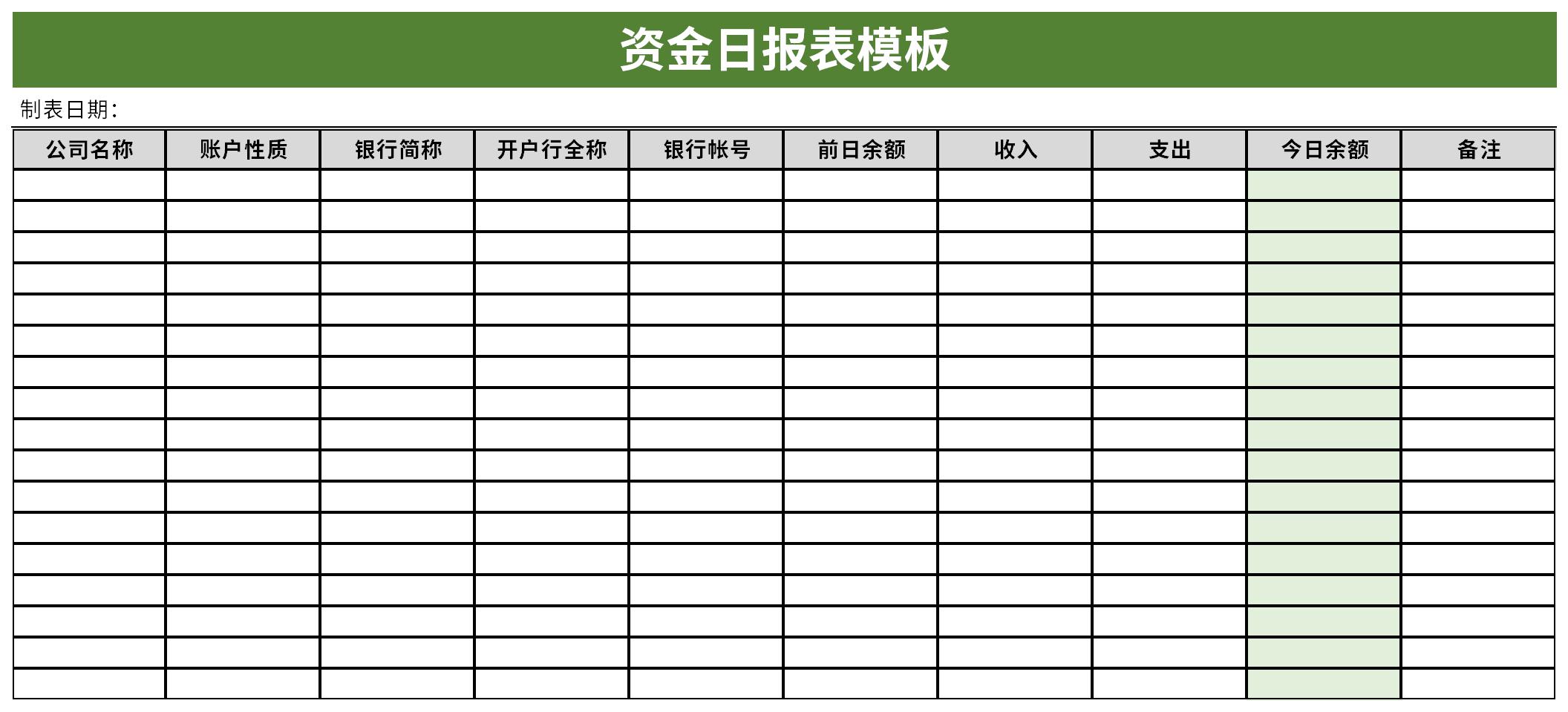 资金日报表模板截图