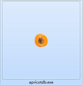 Apricot DB截图