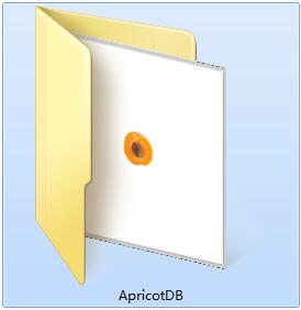 Apricot DB截图