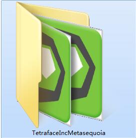 Tetraface Inc Metasequoia截图