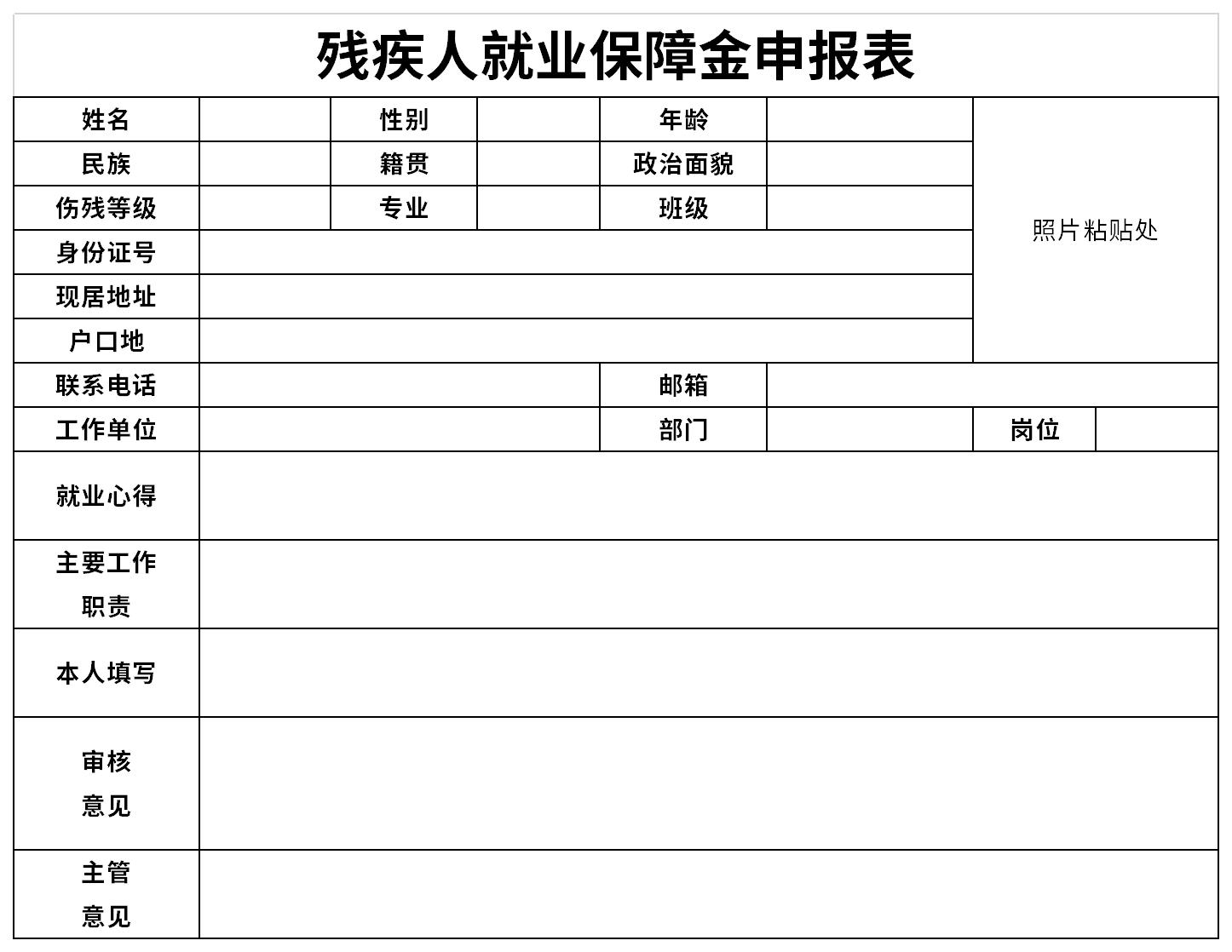 残疾人就业保障金申报表截图