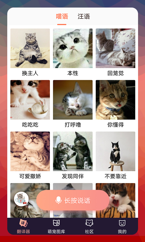 猫语翻译截图