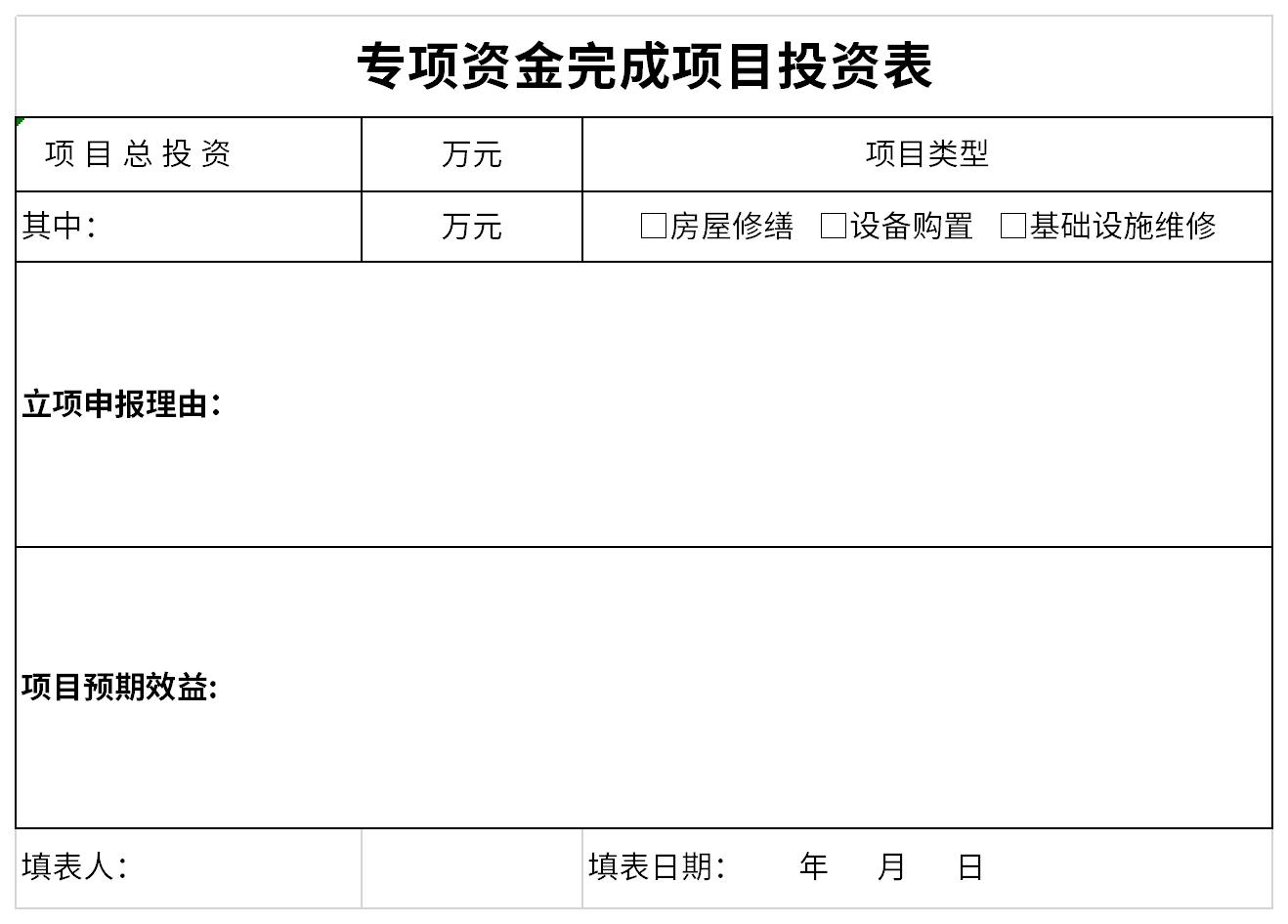 专项资金完成项目投资表截图