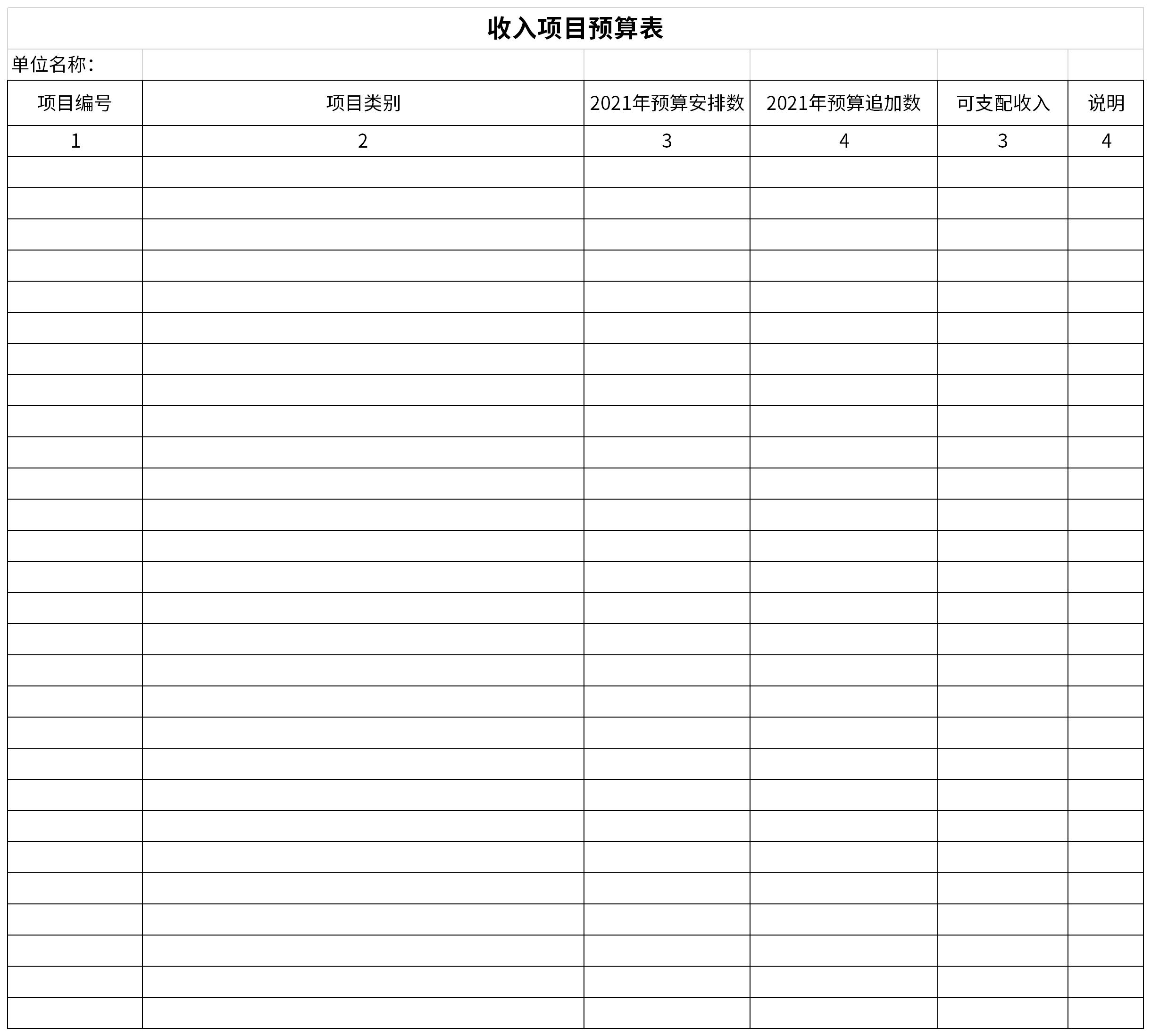 收入项目预算表截图