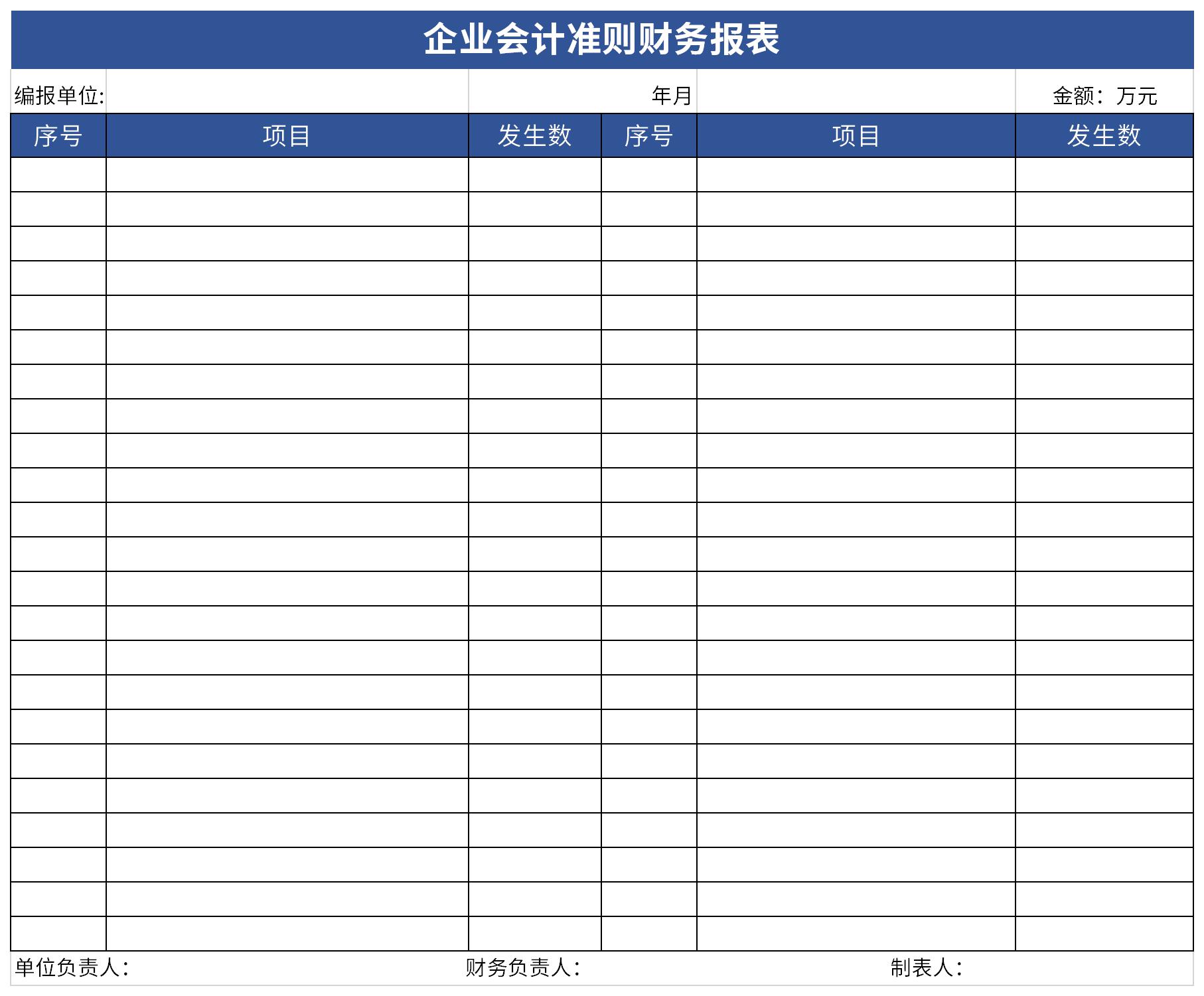 企业会计准则财务报表截图