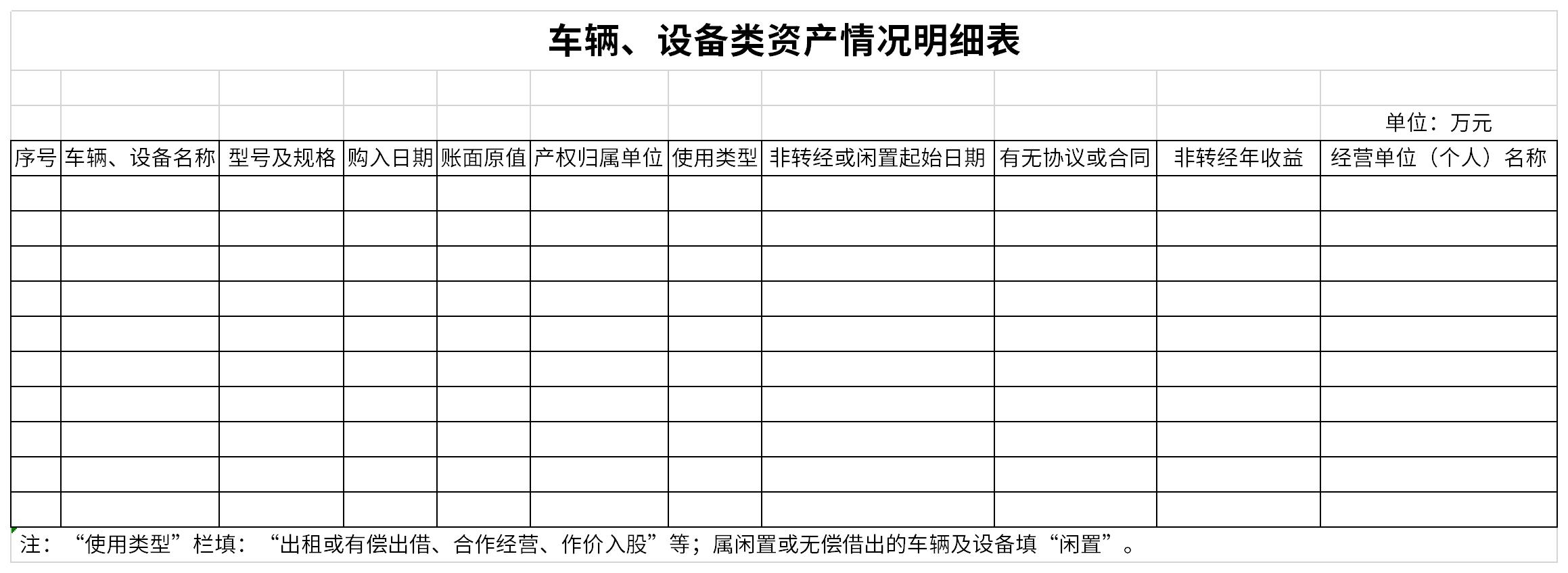 车辆、设备类资产情况明细表截图