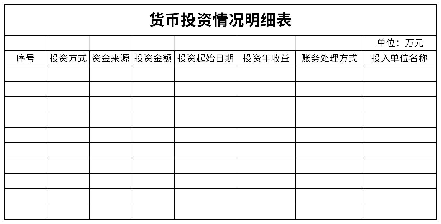 货币投资情况明细表截图