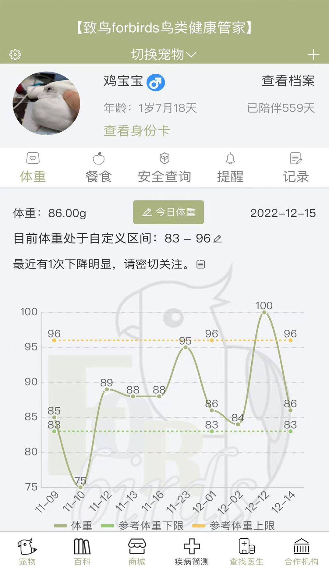 致鸟forbirds截图