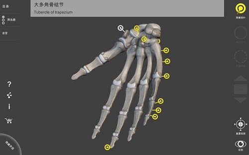 骨骼系统Mac截图