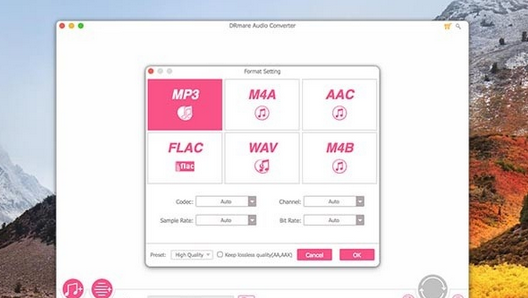 DRmare Audio Converter Mac截图