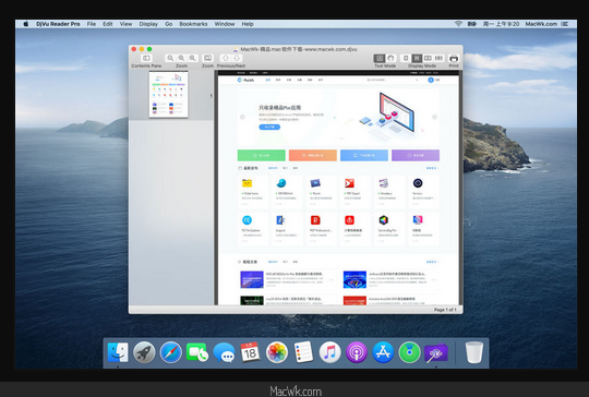 DjVu Reader Mac截图