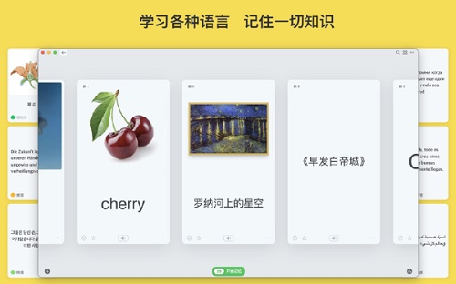 闪卡Mac截图