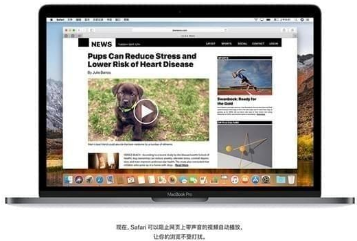 OS 10.13正式版Mac截图