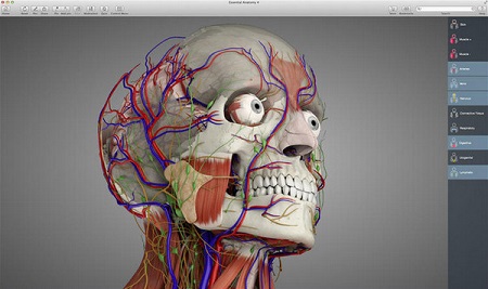 Essential Anatomy Mac截图