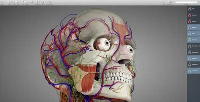 Essential Anatomy Mac截图