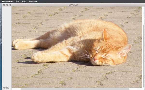 GifViewer Mac截图