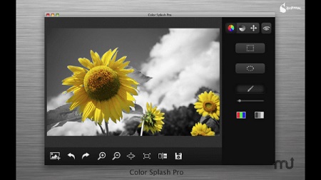Color Splash Mac截图