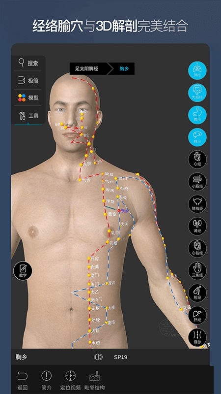 维萨里3D解剖教学电脑版截图