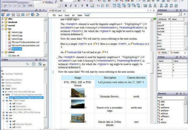 oXygen XML Editor for Mac截图